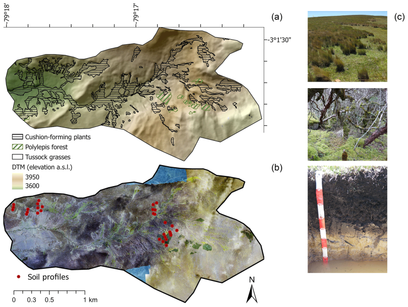 tussock_1.png tussock_1.png
